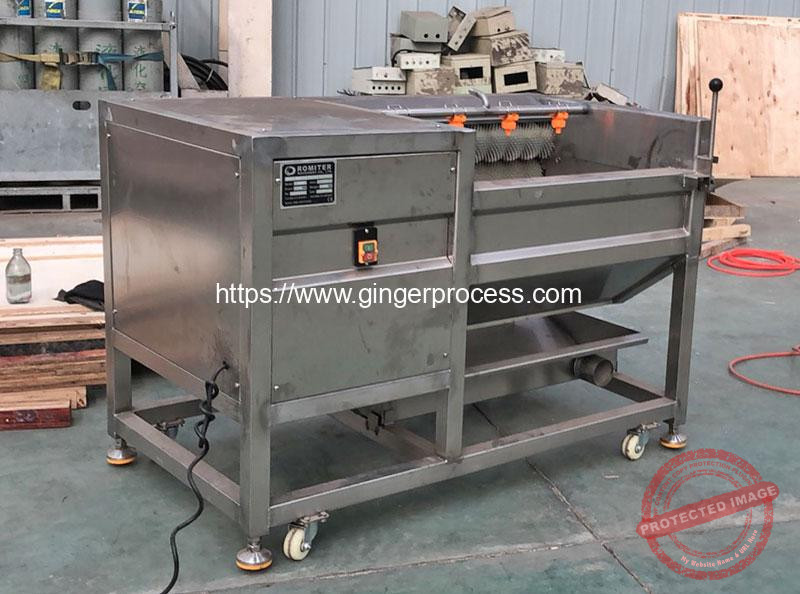Automatic-Ginger-Washing-Peeling-Machine-Delivery-for-Guinea-Customer